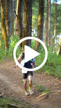 BIB:  <button type="button" onclick="openModal(27293176)" class="btn btn-primary btn-sm float-right" data-toggle="modal" data-target=".modal-high-quality">
                <i class="fa fa-download"></i> Download
                </button>